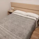 Nap Carta Puebla